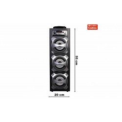 Boxa Bluetooth Portabila 45W, Karaoke, Radio, Card, USB, MP3 Microfon