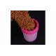 Dispozitiv pentru curatarea labutelor animalelor - Accesorii animale - oferit de sellsell.ro