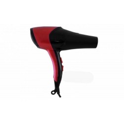 Uscator profesional Gemei GM-176 2600W