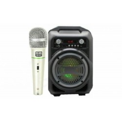 Boxa portabila Bluetooth BS-12 + microfon DM-401