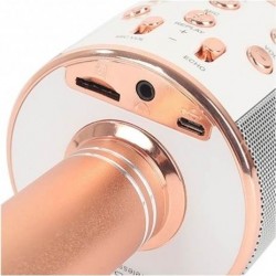 Microfon karaoke fara fir, compatibil cu iOS si Android, tablete iPad si PC, Bluetooth Microfon karaoke fara fir, compatibil cu iOS si Android, tablete iPad si PC, Bluetooth